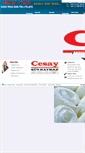 Mobile Screenshot of cesaygrup.com