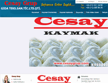 Tablet Screenshot of cesaygrup.com